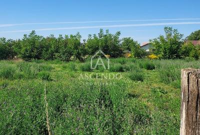 Teren Construcții intravilan de 867 mp, în Stupini - 3