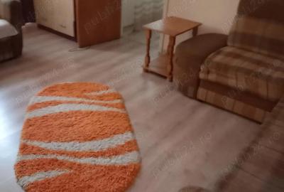 Apartament cu 2 camere semidecomandat în Banat - 10