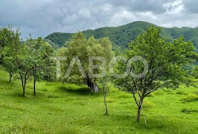 Teren intravilan de vanzare in Martinia de sus - 6