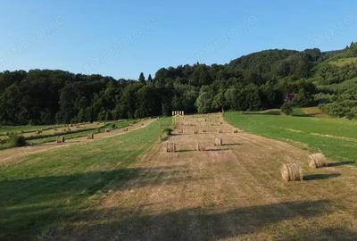 Teren 5886 mp In Bucovina - Bucsoaia! De Vanzare! 0727817187 - 10