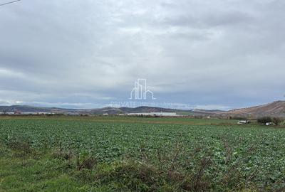 Teren 10 000 Mp Deschidere E60, Zona Aeroport/Autostrada, Ungheni - 3