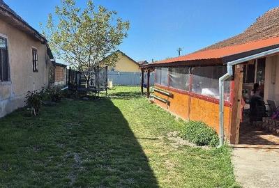 Casă cu 1 camere cu Teren 700 Mp în Variaș - 3