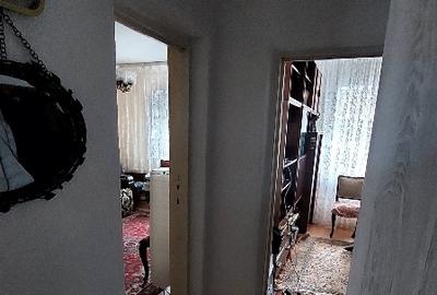 Dalga Sat, Com. Dor Marunt, jud. Calarasi Dalga Sat, Com. Dor Marunt, jud. Calarasi - 11