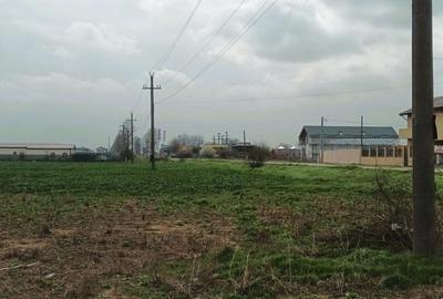 Teren 501 mp | Utilitati la Lot | Statie STV | Sistem de Rate - 7