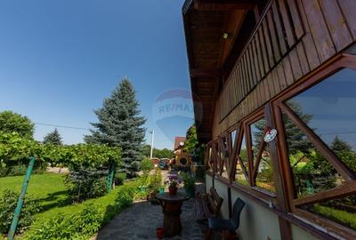 Casa cu 5 dormitoare, foisor, sauna, beci,pod garaj si gradina - 57