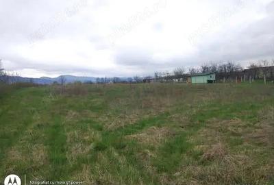 Teren de 844 mp, în Lăpuș - 1