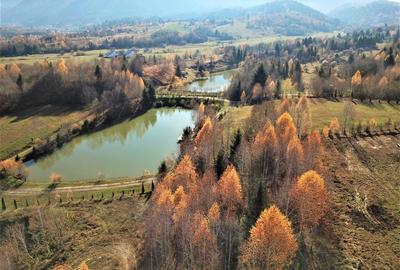 Teren intravilan Rasnov Glajerie cu lac pe el si priveliste deosebita - 9