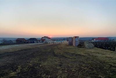 Teren intravilan - 895 mp - Moara Nica - 2