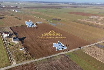 Teren intravilan case 10.000 mp, Str Sportului, Ulmi - 2