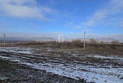 Teren arabil extravilan 21.700 Mp - 2