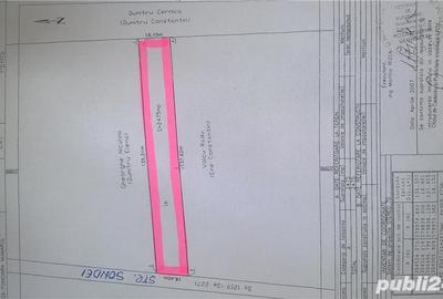 Teren Periș, Ilfov, Padurea Scrovistea - 9