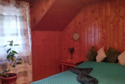 Casă cu 11 camere cu Teren 1560 Mp în Moieciu - 3