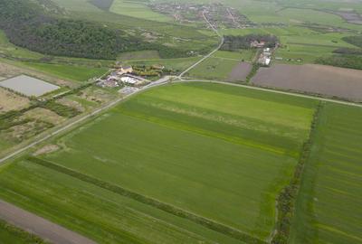 Teren extravilan de 22500mp Zona Ineu - 2