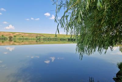 Teren langa lac - 40 km de Bucuresti - 3