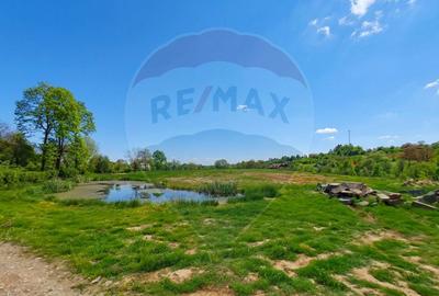 Casă individuală cu 4 camere cu Teren 10130 Mp în Mara - 11