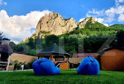 Casa de vacanta pretabila pentru pensiune autorizata - 2