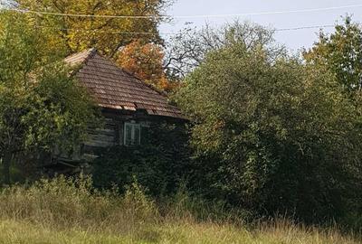 Casă cu 2 camere în Negreni - 7
