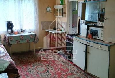 Casa bătrânească de vânzare | 4 camere | Hunedoara | Micănești - 18