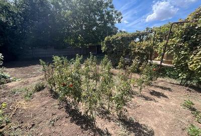 Casa km 5 cu teren mare - 2