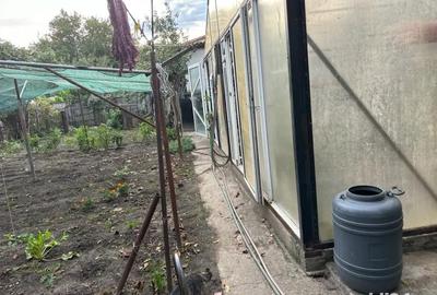 Casă cu 6 camere cu Teren 10000 Mp în Mehala - 2