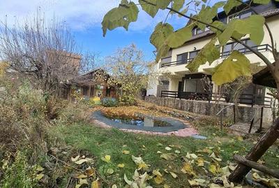 Vila moderna P+1+M, finisaje premium, teren 1.871 mp,acces asfalt, vie ?i livada Dae?ti - 3