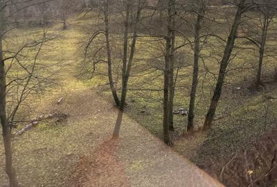 VIzibilitate maxima - 2