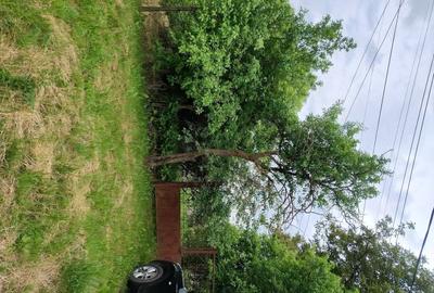 Teren de 1500 mp, în Păsăreni - 1
