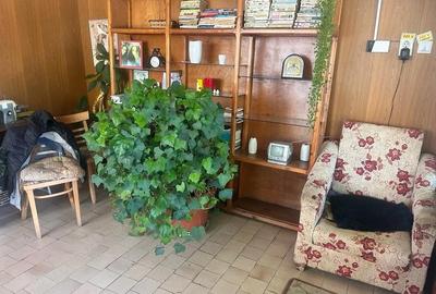 Spațiu comercial, de 50 mp, în Coman