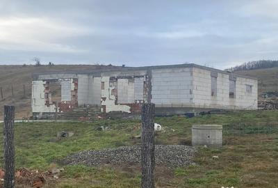 Casă cu 4 camere cu Teren 900 Mp în Dumbrava (Livezile) - 2