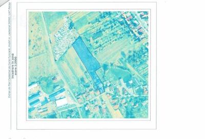 Teren de 6500 mp, în Recea - 1