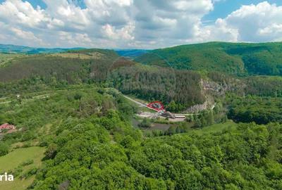 Spațiu comercial, de 320 mp, în Șuncuiuș - 11