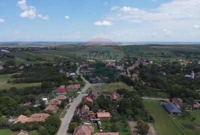 Casa cu teren 4800 mp si multiple posibilitati in Tureni - 28