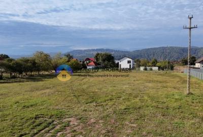 Teren de vanzare 1800 mp Dumbrava Ro?ie - 2