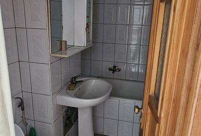 Spațiu comercial, de 49 mp, în Dosu Bricii - 1