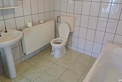 Casă în Lugojului - 3