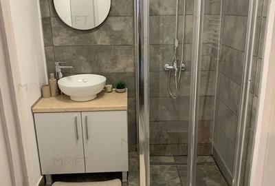 Garsonieră renovată pe Str. Londra, pet-friendly, 500 euro - 7