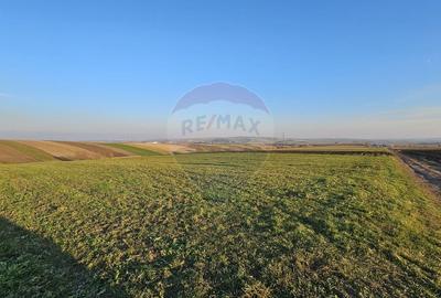 Teren agricol extravilan de 10200 mp, în Stroiești