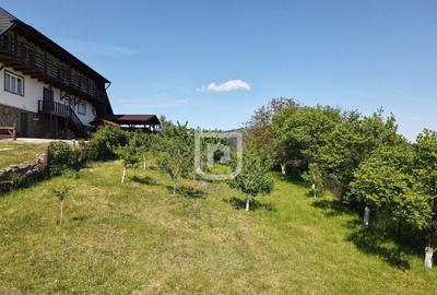 Casa batraneasca cu foi?or ?i teren - 4