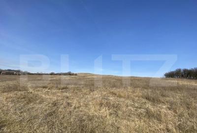 Teren extravilan in suprafata de 140551 mp in loc. Recea - 17