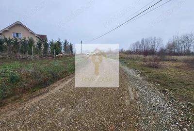 Teren de 647 mp, în Paleu - 2