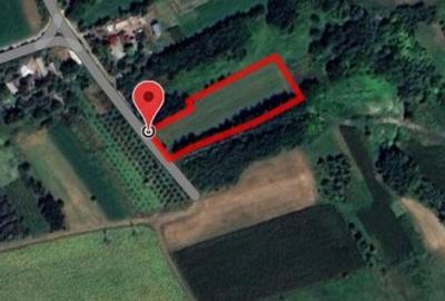 Teren agricol intravilan de 3700 mp, în Brăești - 1