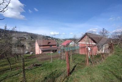 Casă cu 4 camere cu Teren 2000 Mp în Central - 2