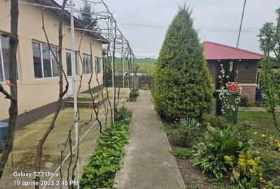 Casă cu 3 camere cu Teren 3300 Mp în Gogoșari - 3