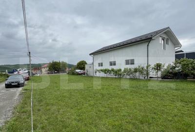 Teren de 11 ari la drumul principal in Vii?oara ideal - 10