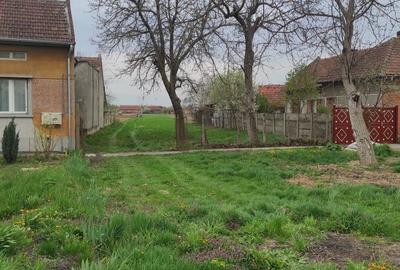 Teren de 2278 mp, în Belinț - 1