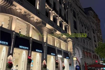 Garsonieră în Calea Victoriei - 18