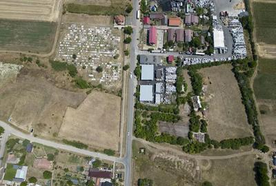 Teren intravilan 6.005 mp in Zadareni - 9