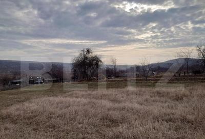 Teren intravilan 3712 mp + 2600 mp extravilan in Dobrovat - 1