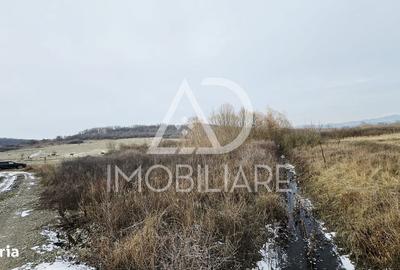 Teren de 1275 mp, în Turcinești - 5