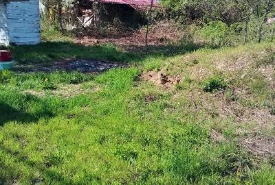 Teren Construcții intravilan de 6820 mp, în Dealuri Oradea - 3